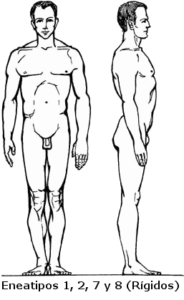 Lee más sobre el artículo El cuerpo de una persona de estructura rígida