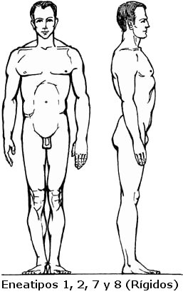 Lee más sobre el artículo El cuerpo de una persona de estructura rígida