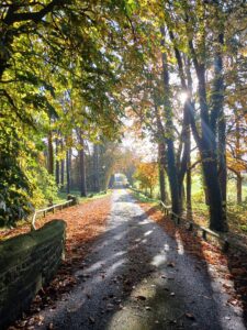 Lee más sobre el artículo Las tres maneras de desconectar de la mente conscientemente