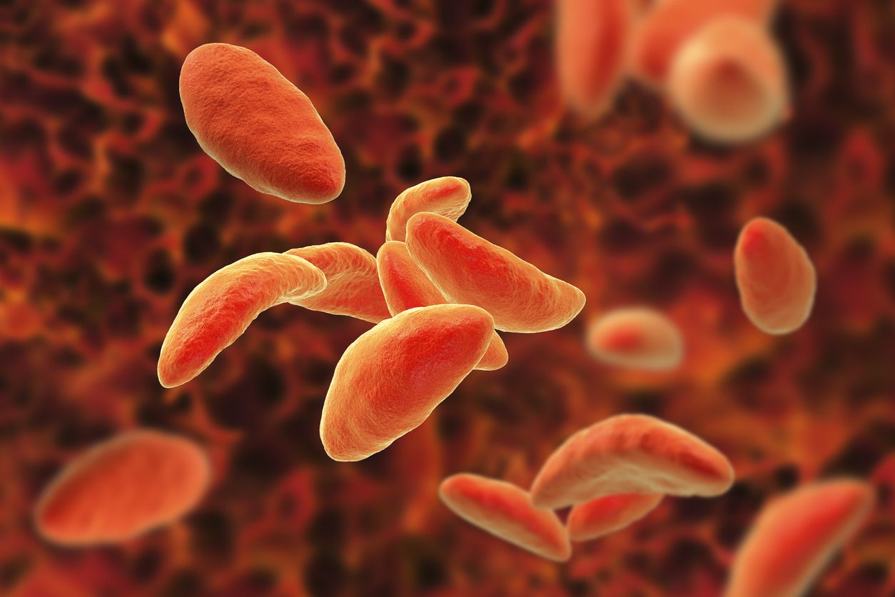 Lee más sobre el artículo TOXOPLASMOSIS, conflictos emocionales que la causan